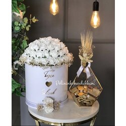 gül kutusu & teraryum
