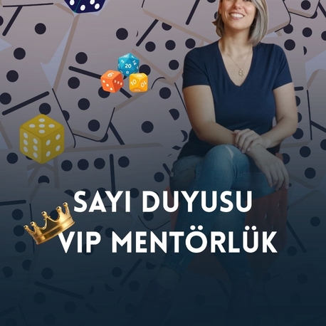 Sayı Duyusu Vip Grup Mentörlük