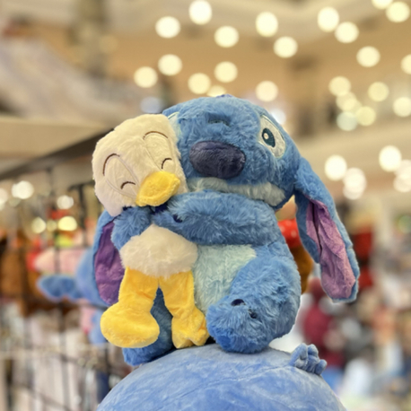 Ördek ve Stich