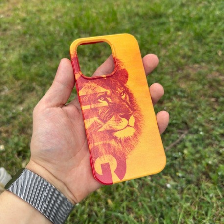 "The King" Case
