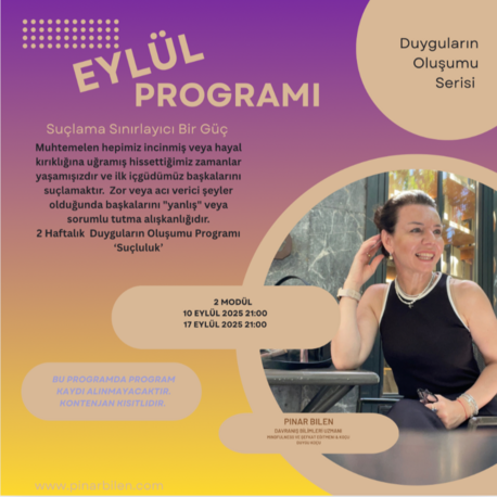 Duyguların Oluşumu Serisi 