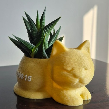 Mini Kedi Saksı
