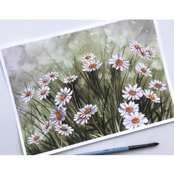 Daisies