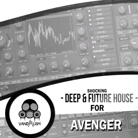 Vandalism Shocking Deep and Future House For Avenger