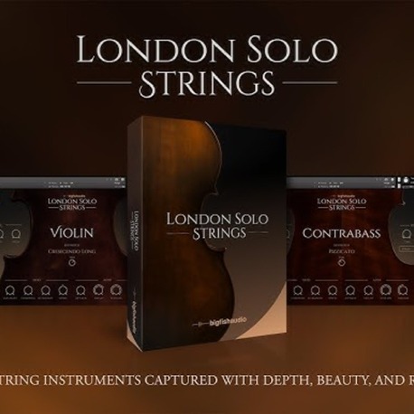 Big Fish Audio - London Solo Strings KP2 v2.0.0 (KONTAKT)