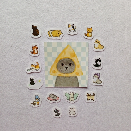 mini cats