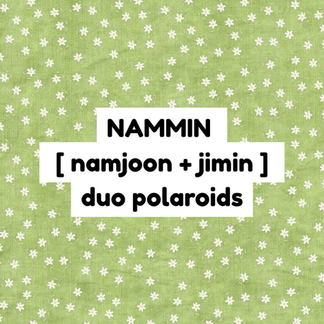 bts nammin duo polaroid