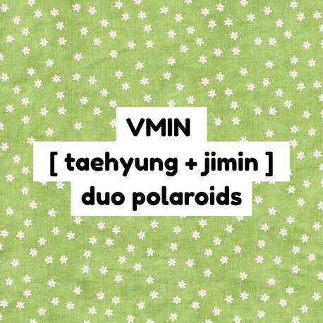 bts vmin duo polaroid 