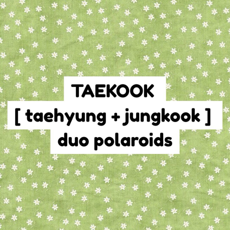 bts taekook duo polaroid