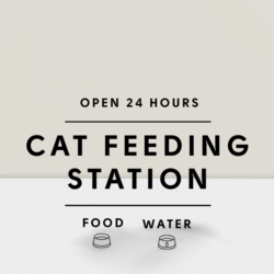 Cat Feeding Station Sticker