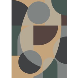 Circle Illusion Poster