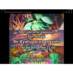 Ayahuasca Deneyimi Atölyesi