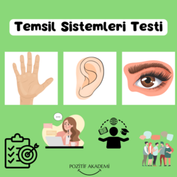 Kendini ve Çevreni Anlama Rehberi: Temsil Sistemi Testi