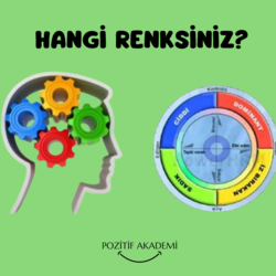 Renklerle Karakter Çözümleme: Kişilik Renk Testi 