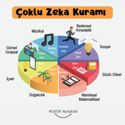  Kendini Tanıma ve Yön Belirleme Analizi: Çoklu Zeka Testi 