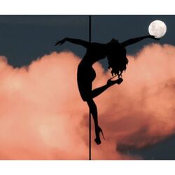 pole dance eğitimi