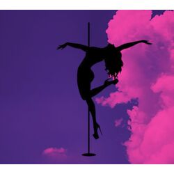 pole dance eğitimi 