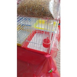 kuş kafesi 