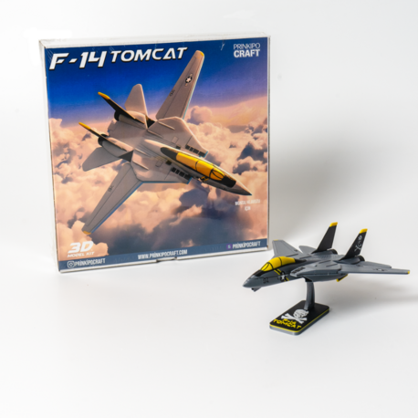 F-14 Tomcat 3D Kit