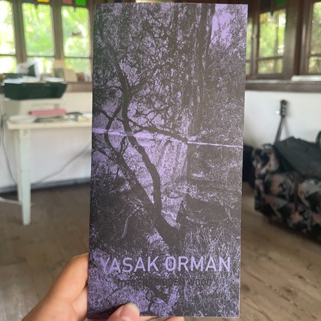 Yasak Orman / The Forbidden Woods