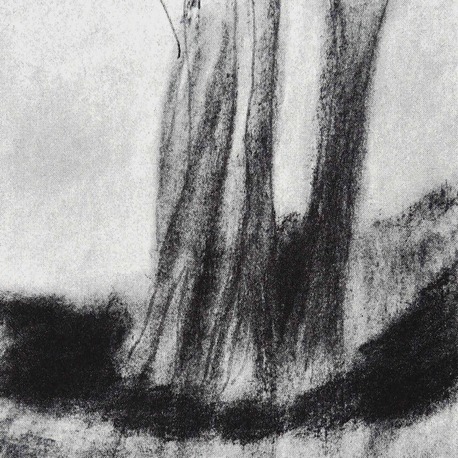 Ağaçlar / Trees