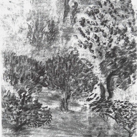 Zeytinlik