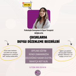 TRAVMA DUYARLI YAKLAŞIMLA ÇOCUKLARDA DUYGU DÜZENLEME BECERİLERİ - OFFLİNE EĞİTİM