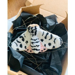 Moth Broş 