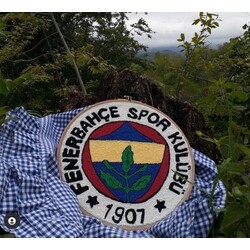 fenerbahçe panosu