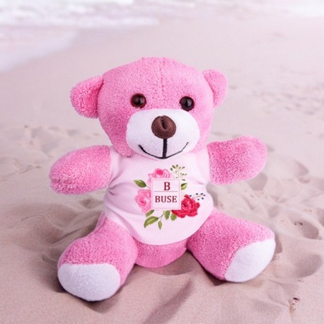 Pembe Peluş Ayıcık