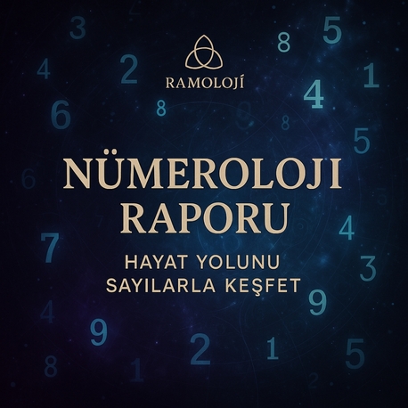 Nümeroloji Raporu 1