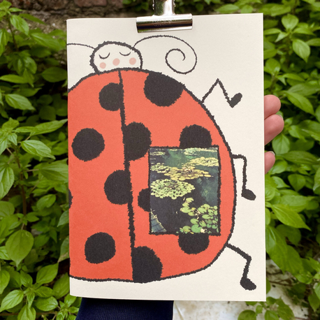 uğur böceği ve çiçekler defter