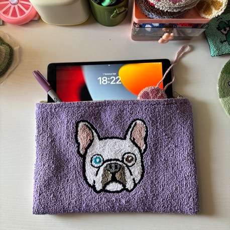 Ipad Bag