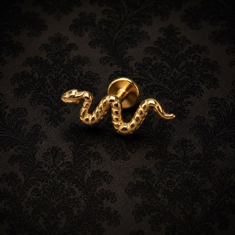 Gold Titanyum Yılan Flatback
