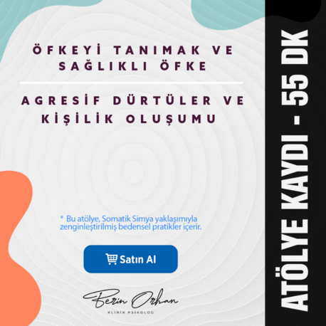 Öfkeyi Tanımak ve Sağlıklı Öfke - Agresif Dürtüler ve Kişilik Oluşumu Atölye Kaydı