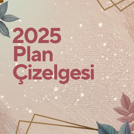 Regulus 2025 Plan Çizelgesi