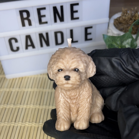 pofuduk köpek kokulu mum