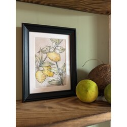Lemon Garden / Kartpostal 