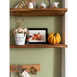 Pumpkins / Kartpostal