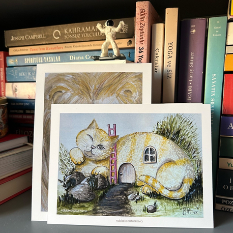Cat House 