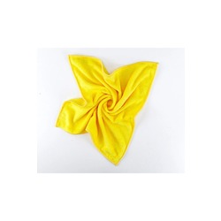SİLVER HOME Süper Emici 40x40cm Mikrofiber Kurulama Bezi 