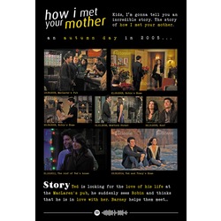 How I Met Your Mother (Ted-Robin) Anılar Posteri