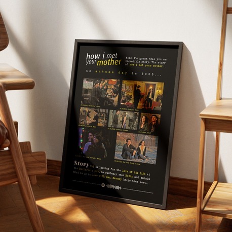 How I Met Your Mother (Ted-Robin) Anılar Posteri