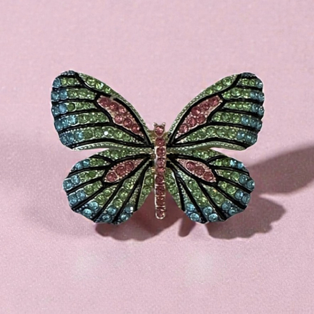 rainbow butterfly broş