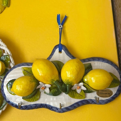 30x18 mutfak askısı italy limon pano