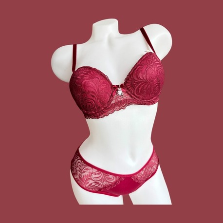 C Cup Bordo Takım 