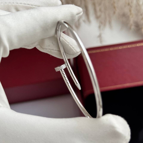 Cartier Çivi Silver Taşlı