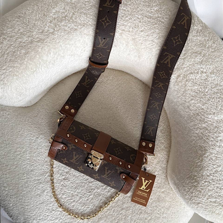 Louis Vuitton Papillon Trunk