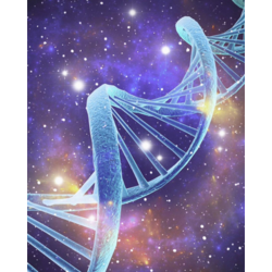 ThetaHealing Bireysel Seans