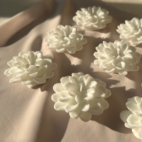50 Adet - Lotus Mum (Kutusuz)